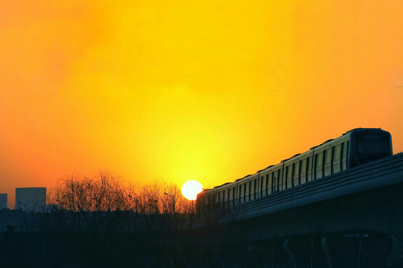 朝阳盛会，致敬尊贵来宾与朋友们