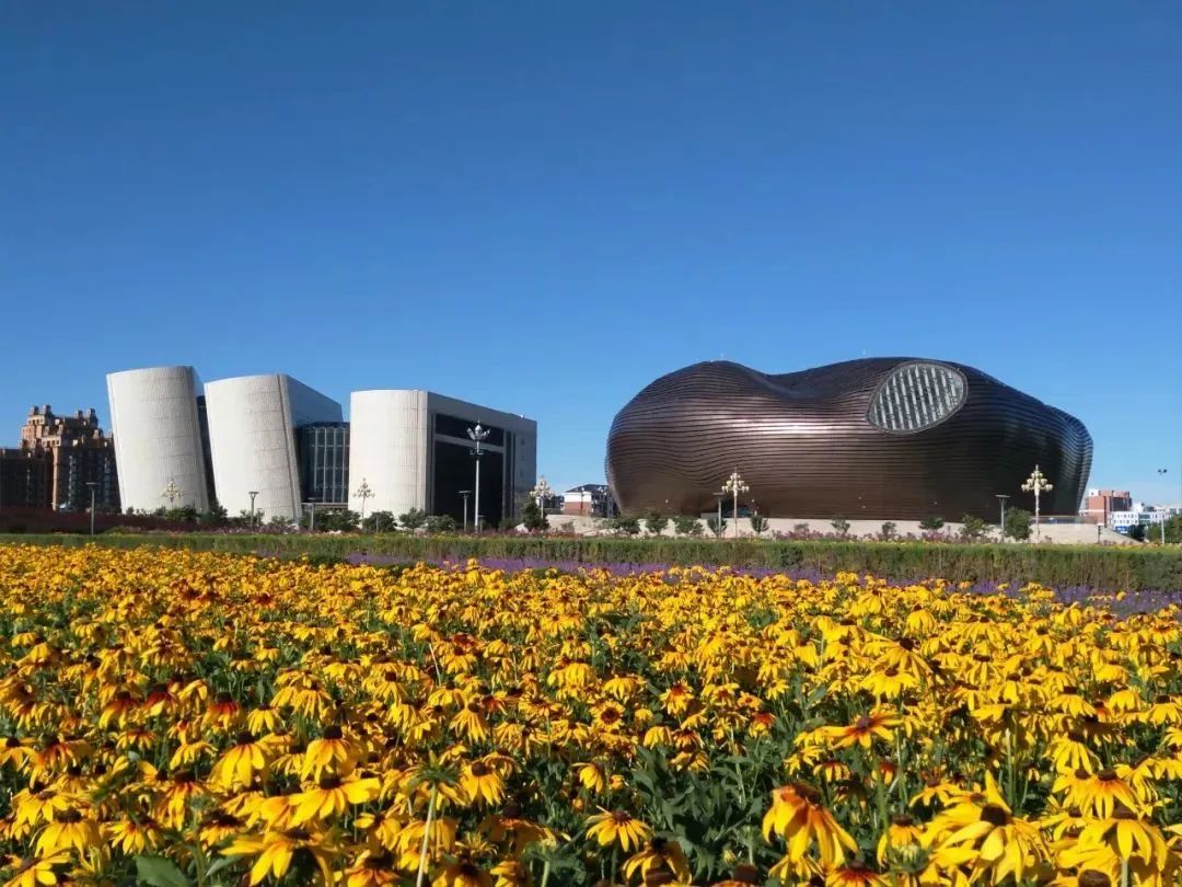 鄂尔多斯千年文化瑰宝之旅